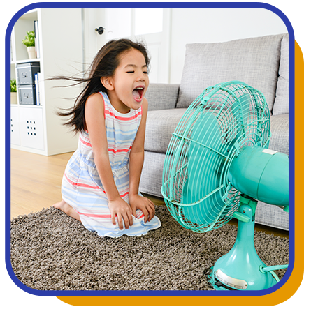 Humidifiers & Dehumidifiers in Grand Junction, CO 