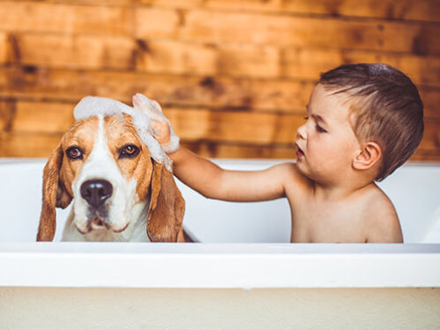 Child in Bath with Pet Dog in Palisade, CO