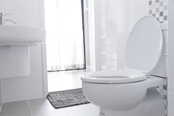Toilet Repairs & Installations in Grand Junction, CO